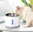 Small Flower Water Dispenser Pet Waterer