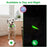 LED Adjustable Dog Collar Blinking Flashing Light Up Glow Pets Safety Waterproof