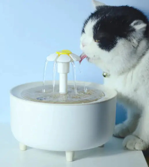 Pets Water Fountain